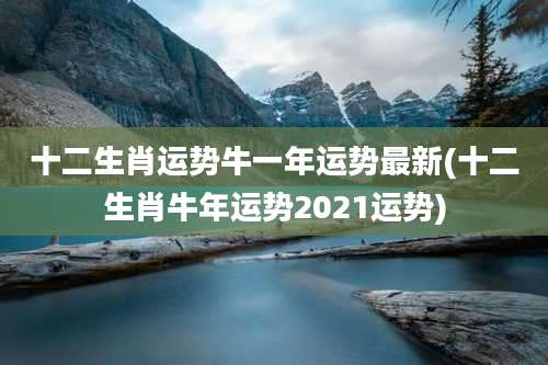 十二生肖运势牛一年运势最新(十二生肖牛年运势2021运势)