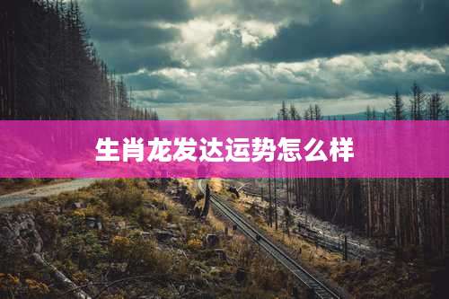 生肖龙发达运势怎么样
