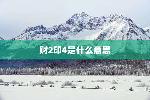 财2印4是什么意思