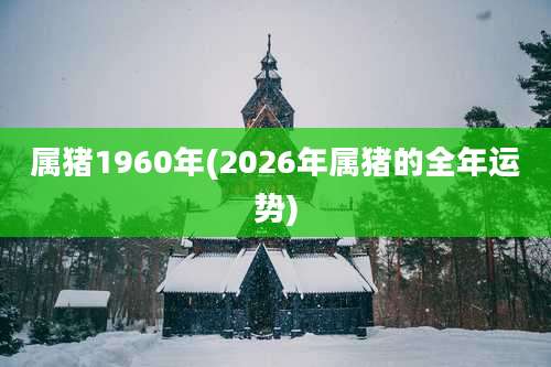 属猪1960年(2026年属猪的全年运势)