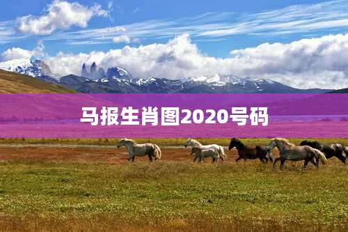 马报生肖图2020号码