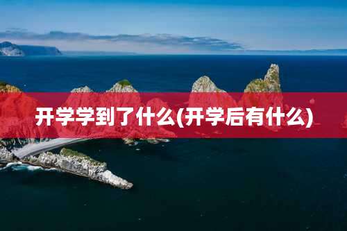 开学学到了什么(开学后有什么)