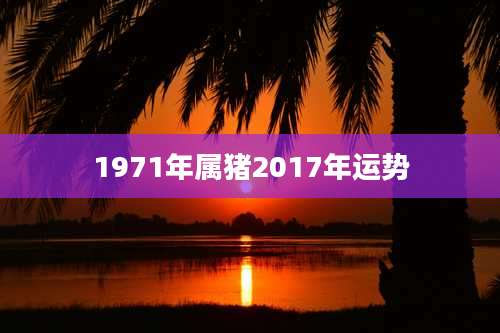 1971年属猪2017年运势