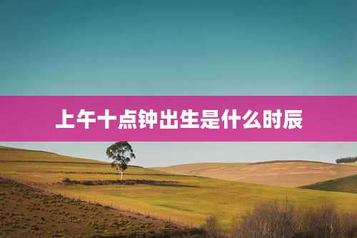 上午十点钟出生是什么时辰