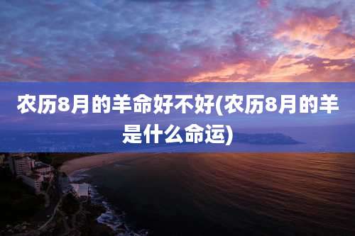 农历8月的羊命好不好(农历8月的羊是什么命运)