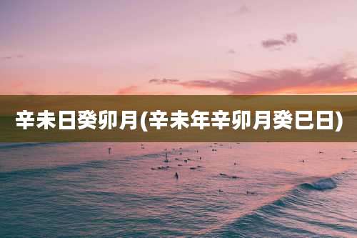 辛未日癸卯月(辛未年辛卯月癸巳日)