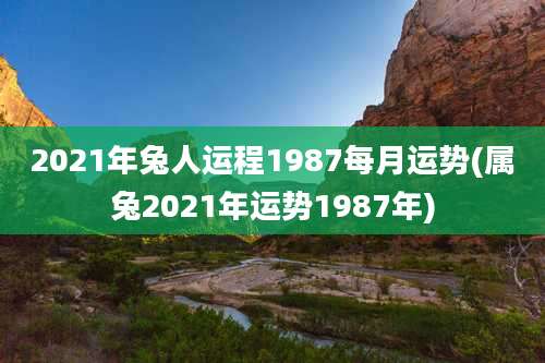 2021年兔人运程1987每月运势(属兔2021年运势1987年)