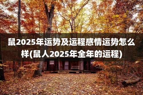 鼠2025年运势及运程感情运势怎么样(鼠人2025年全年的运程)