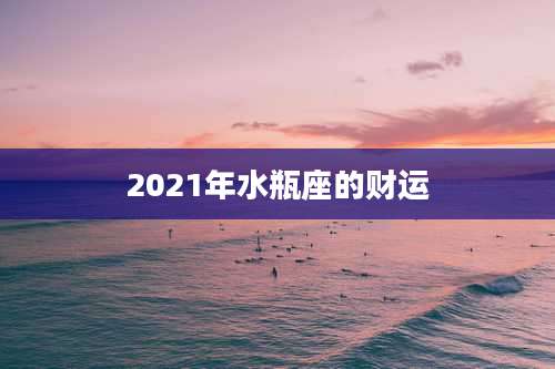 2021年水瓶座的财运