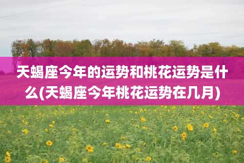 天蝎座今年的运势和桃花运势是什么(天蝎座今年桃花运势在几月)
