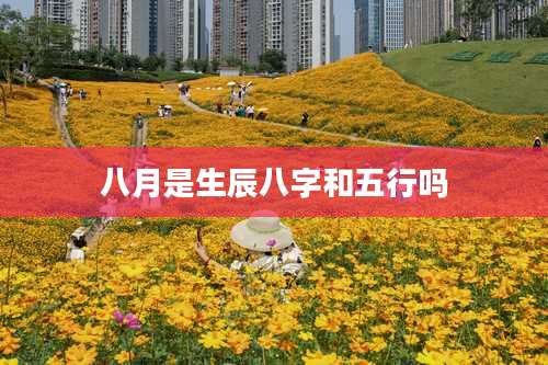 八月是生辰八字和五行吗