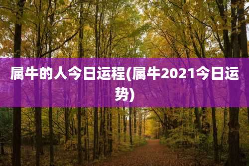 属牛的人今日运程(属牛2021今日运势)