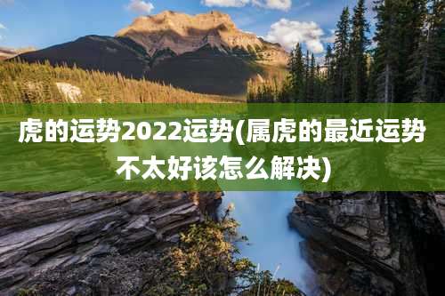 虎的运势2022运势(属虎的最近运势不太好该怎么解决)