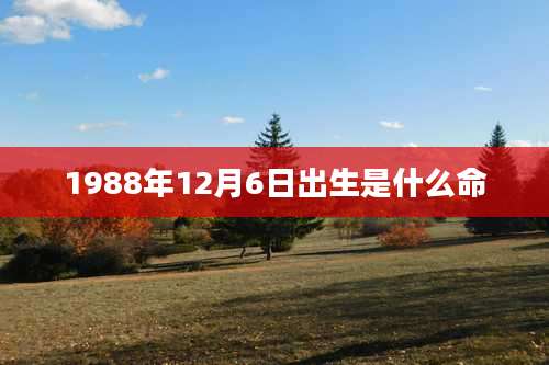 1988年12月6日出生是什么命