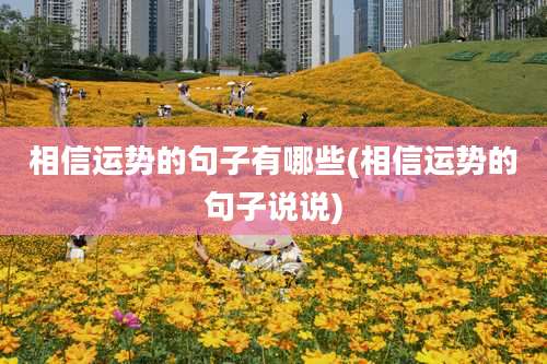 相信运势的句子有哪些(相信运势的句子说说)