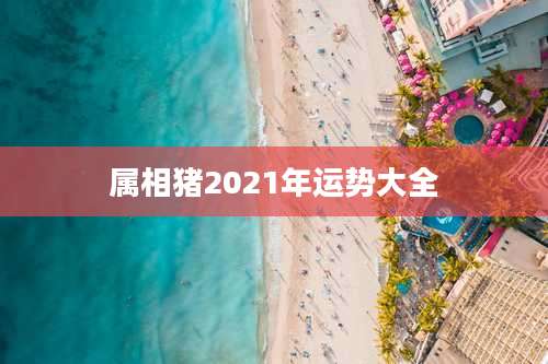 属相猪2021年运势大全