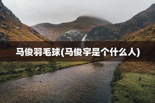 马俊羽毛球(马俊宇是个什么人)