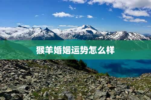 猴羊婚姻运势怎么样