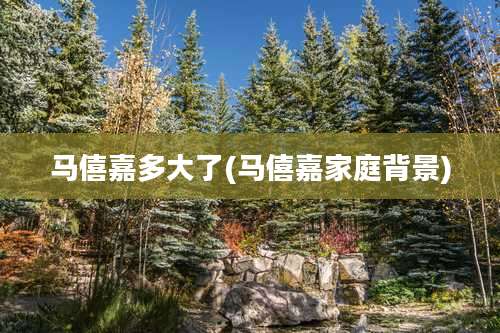 马僖嘉多大了(马僖嘉家庭背景)