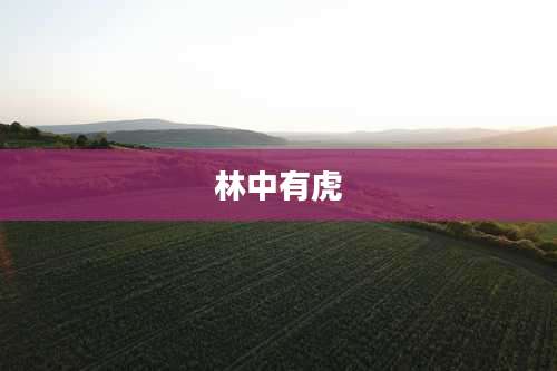 林中有虎