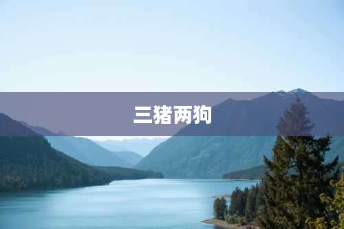 三猪两狗