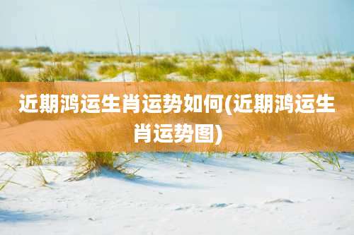 近期鸿运生肖运势如何(近期鸿运生肖运势图)