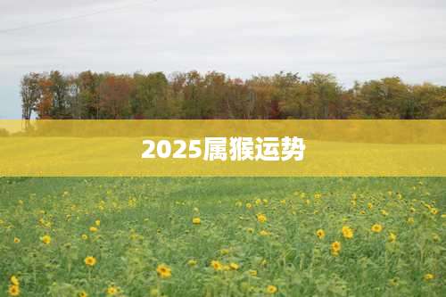 2025属猴运势
