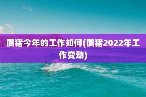 属猪今年的工作如何(属猪2022年工作变动)