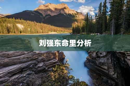 刘强东命里分析