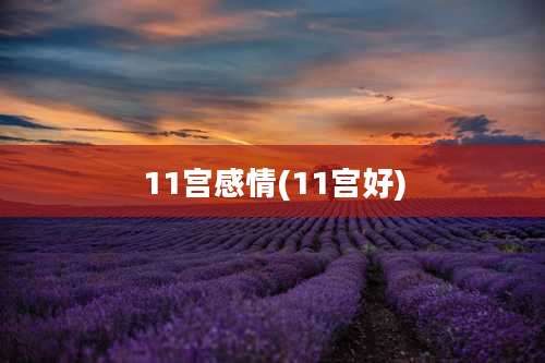 11宫感情(11宫好)