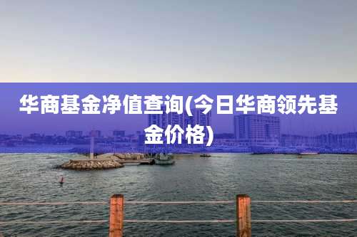 华商基金净值查询(今日华商领先基金价格)
