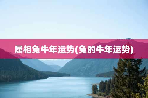 属相兔牛年运势(兔的牛年运势)