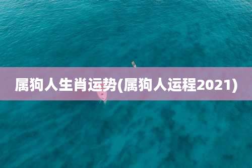 属狗人生肖运势(属狗人运程2021)