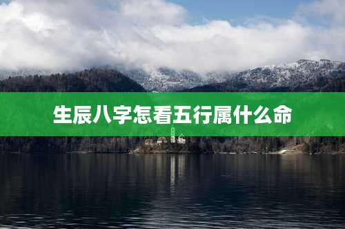 生辰八字怎看五行属什么命