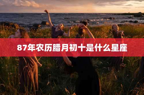 87年农历腊月初十是什么星座