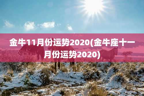 金牛11月份运势2020(金牛座十一月份运势2020)