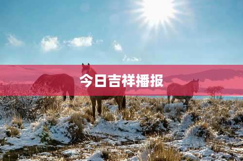 今日吉祥播报