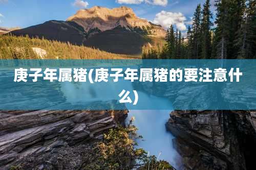 庚子年属猪(庚子年属猪的要注意什么)