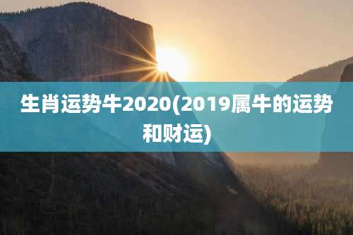 生肖运势牛2020(2019属牛的运势和财运)