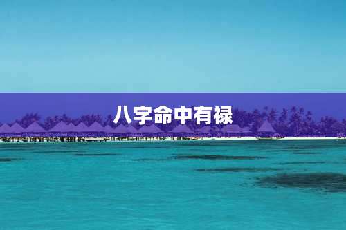 八字命中有禄