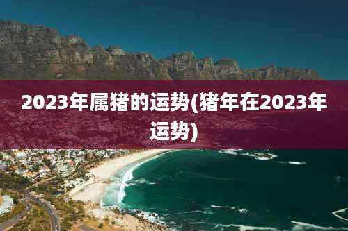 2023年属猪的运势(猪年在2023年运势)