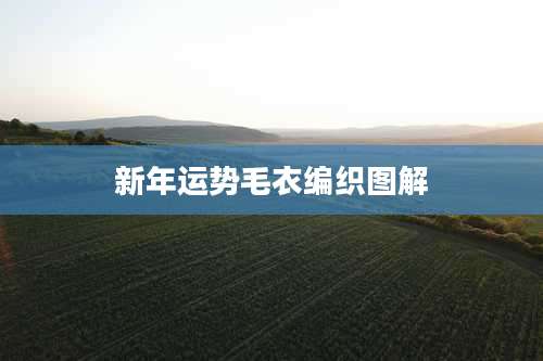 新年运势毛衣编织图解