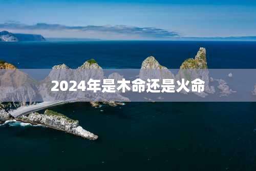 2024年是木命还是火命