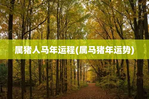 属猪人马年运程(属马猪年运势)