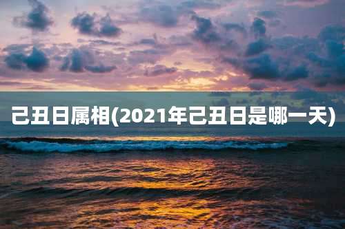 己丑日属相(2021年己丑日是哪一天)