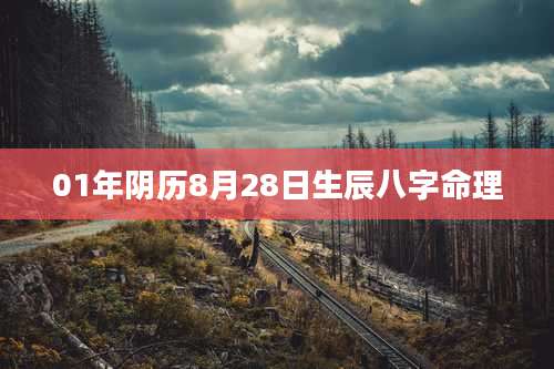 01年阴历8月28日生辰八字命理