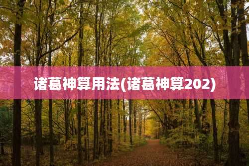 诸葛神算用法(诸葛神算202)