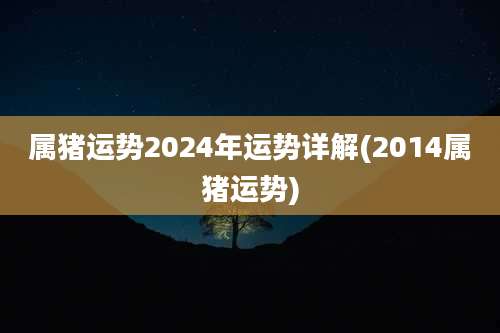 属猪运势2024年运势详解(2014属猪运势)