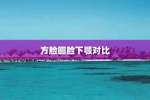 方脸圆脸下颚对比