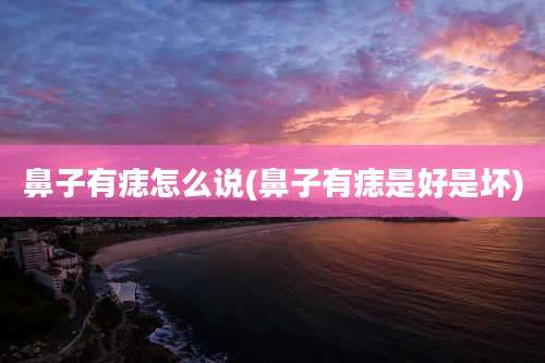 鼻子有痣怎么说(鼻子有痣是好是坏)